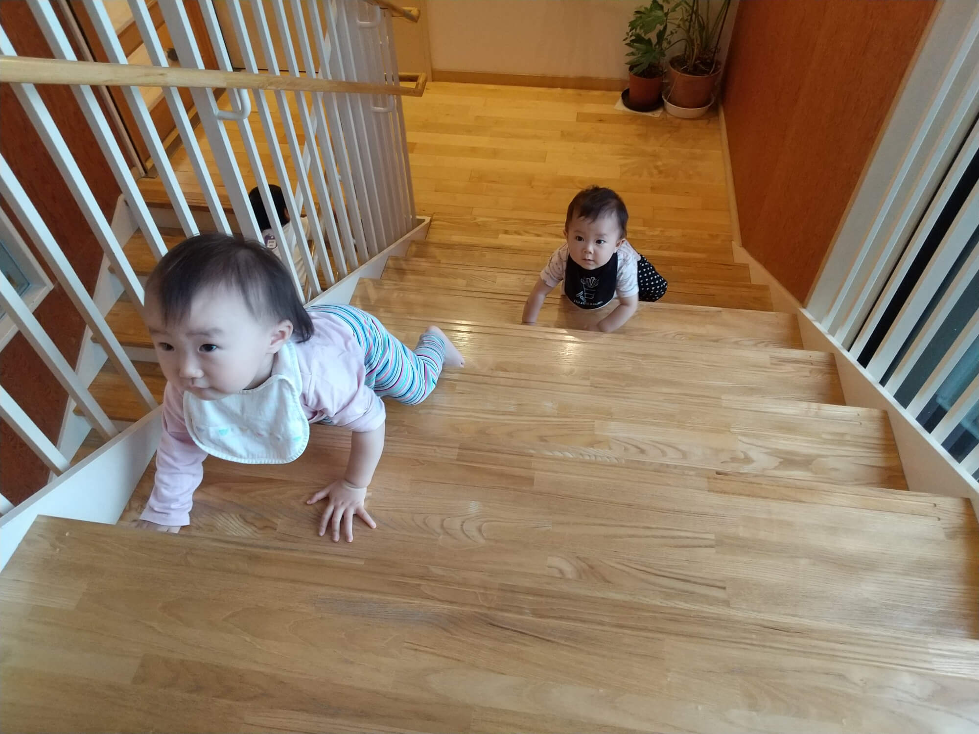 階段をハイハイしながら登る子どもたち