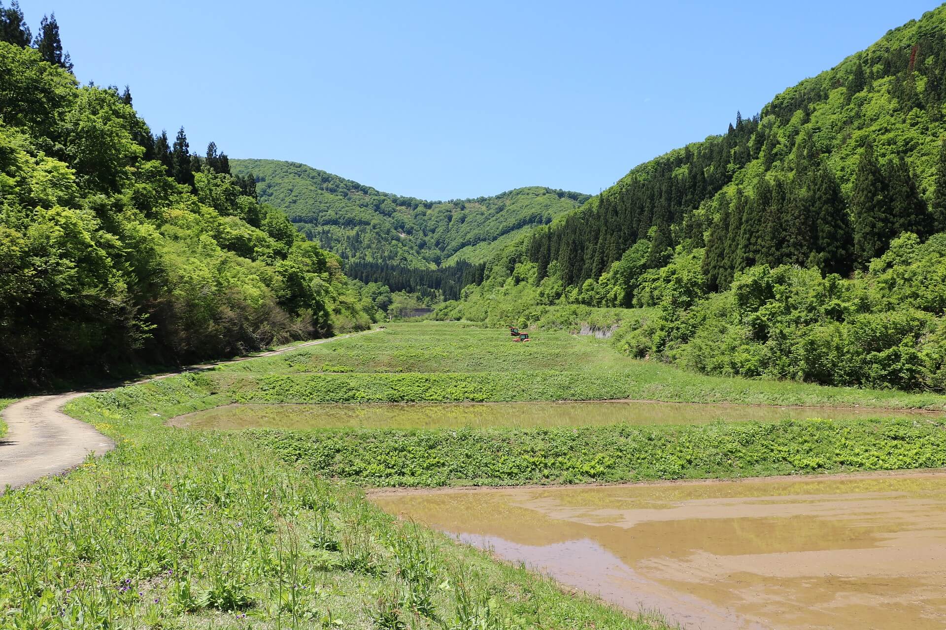 中山間地の棚田