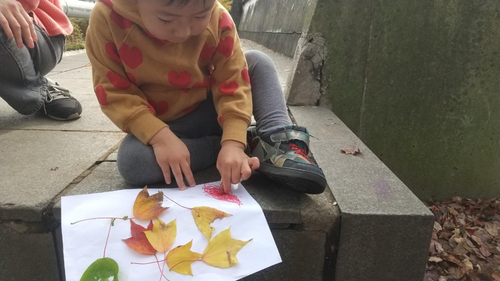 落ち葉を画用紙に並べる様子