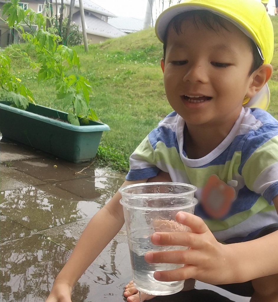 カップに水を入れて観察