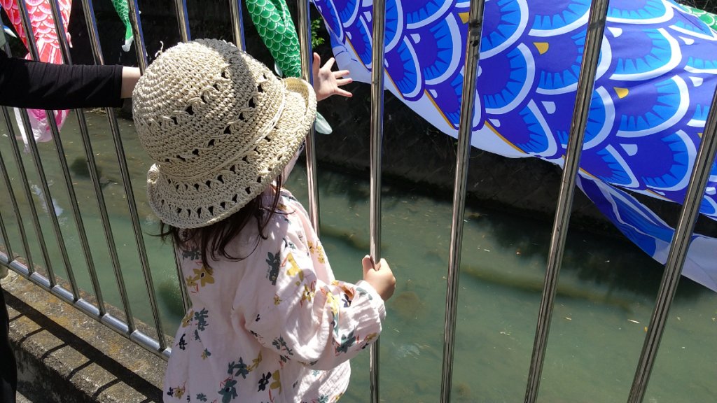 鯉のぼりに手を伸ばす子ども
