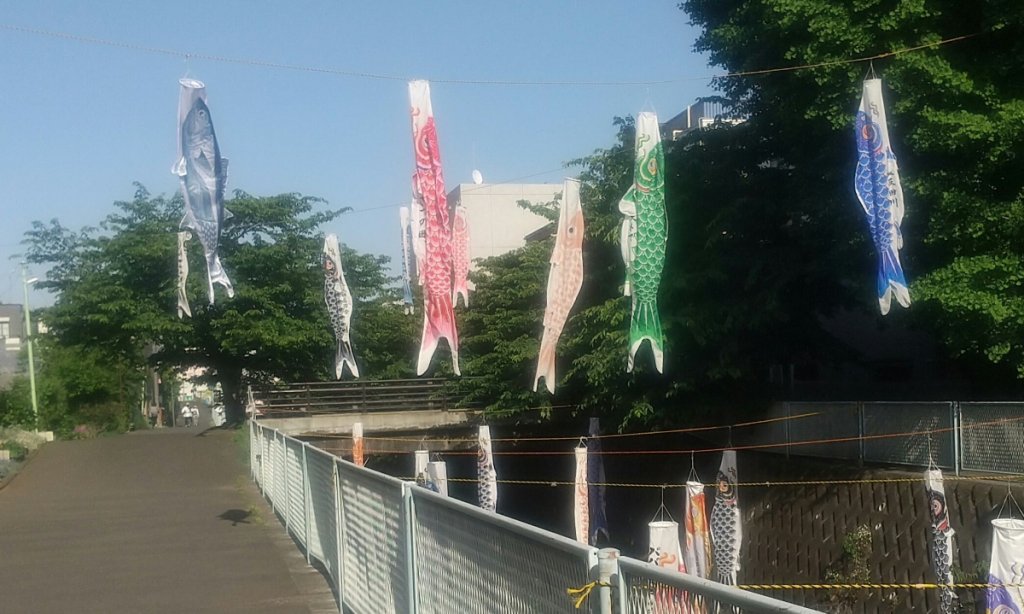 飾られた鯉のぼり
