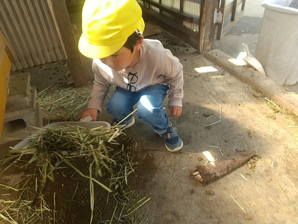 ヤギ小屋の掃除