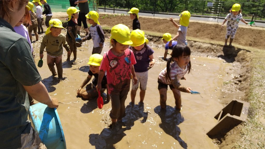 泥だらけで代掻きをする子どもたち