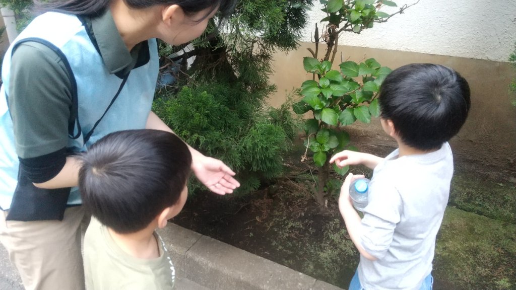 草花に気づく子どもたち