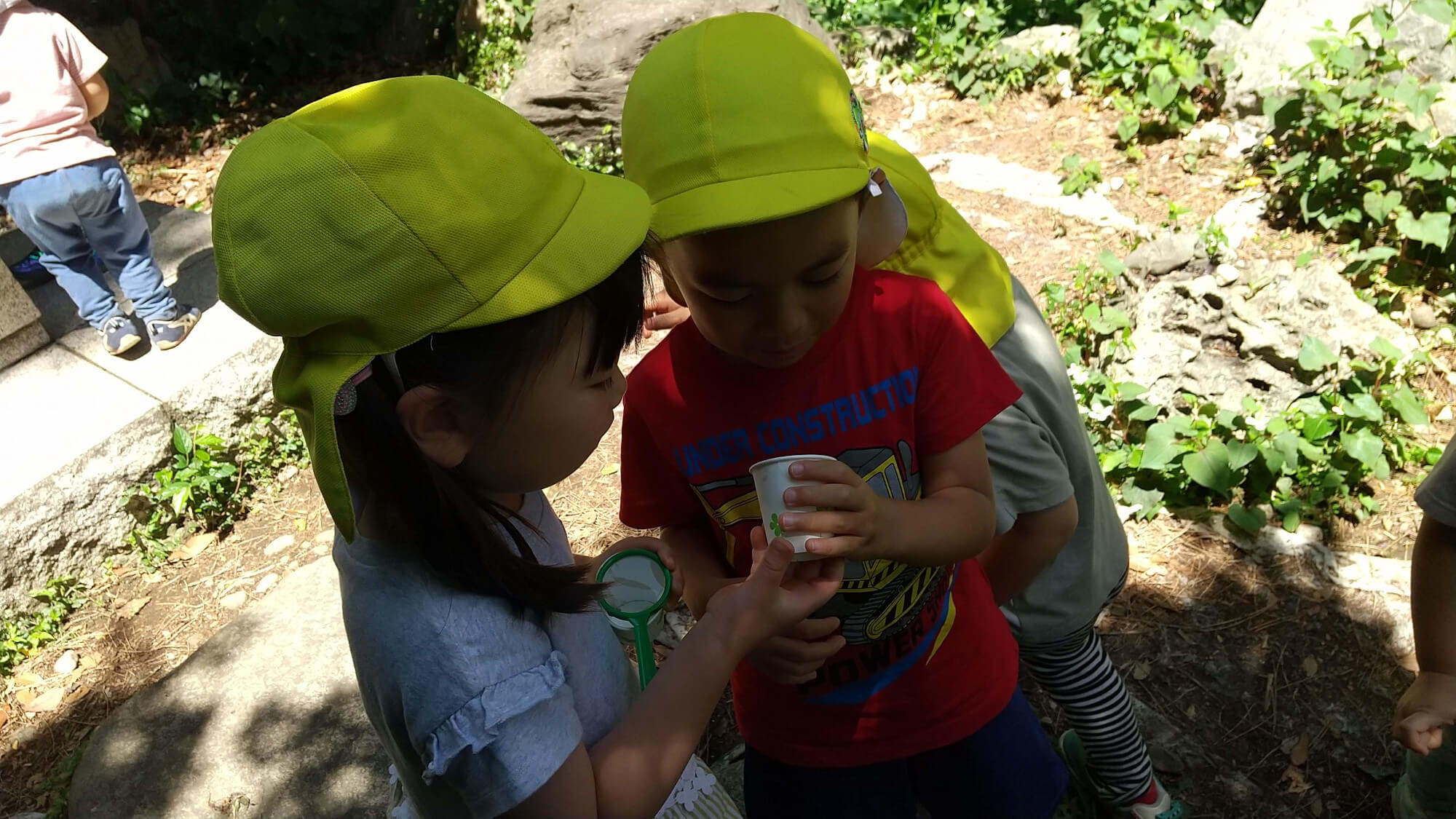 ダンゴムシの観察をする子どもたち