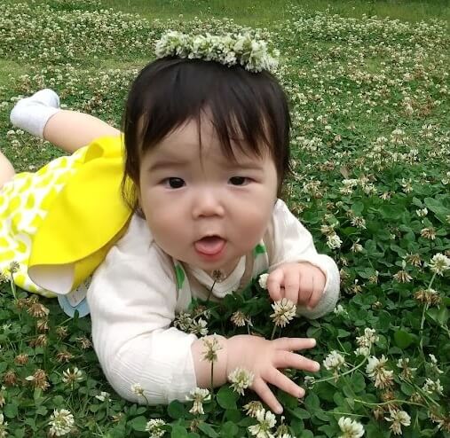 シロツメクサの花冠を身につける子ども