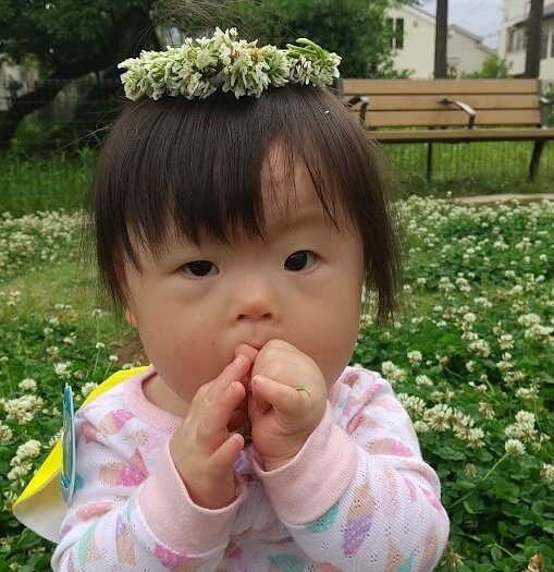 シロツメクサの花冠を身につける子ども