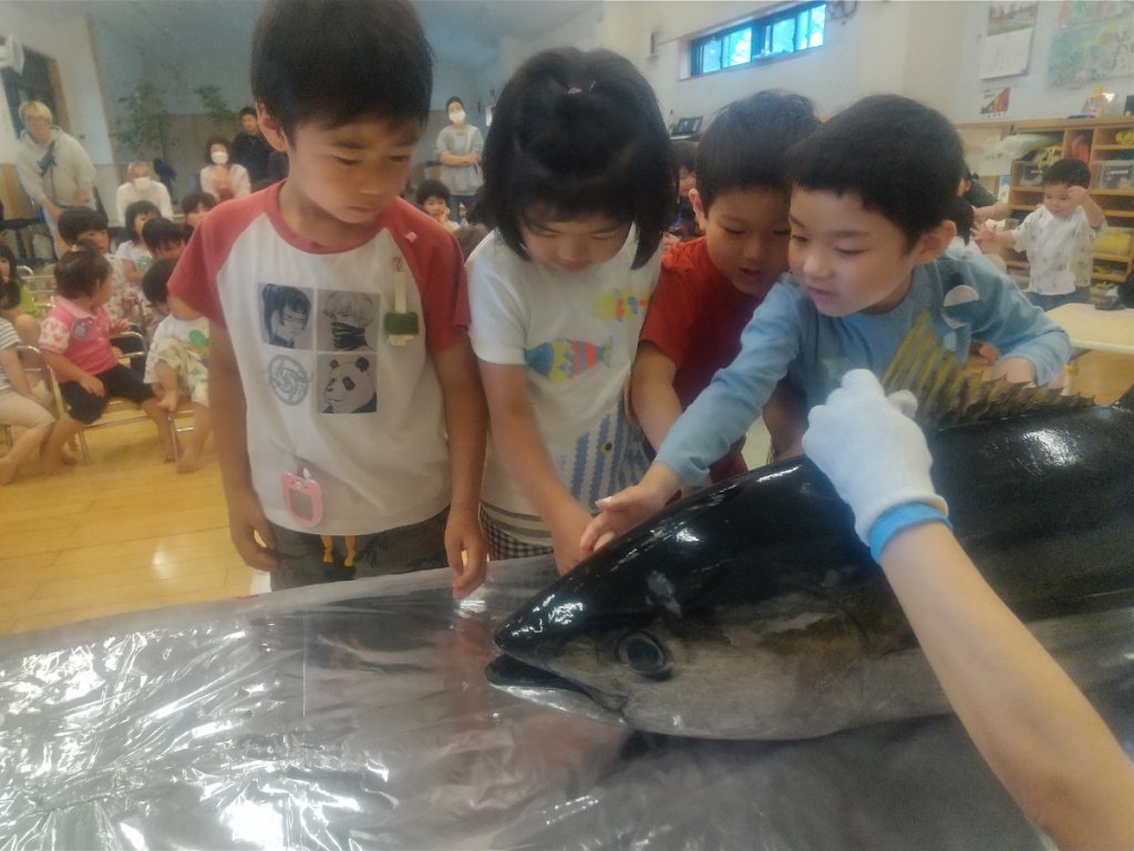 マグロを触る子どもたち