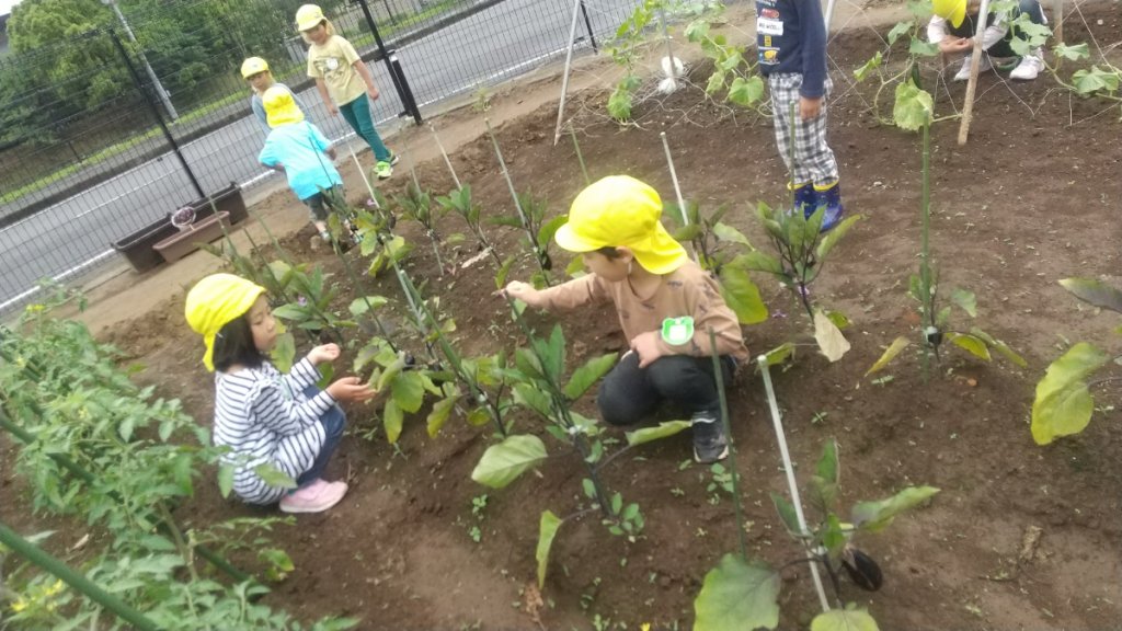 畑仕事をする子どもたち