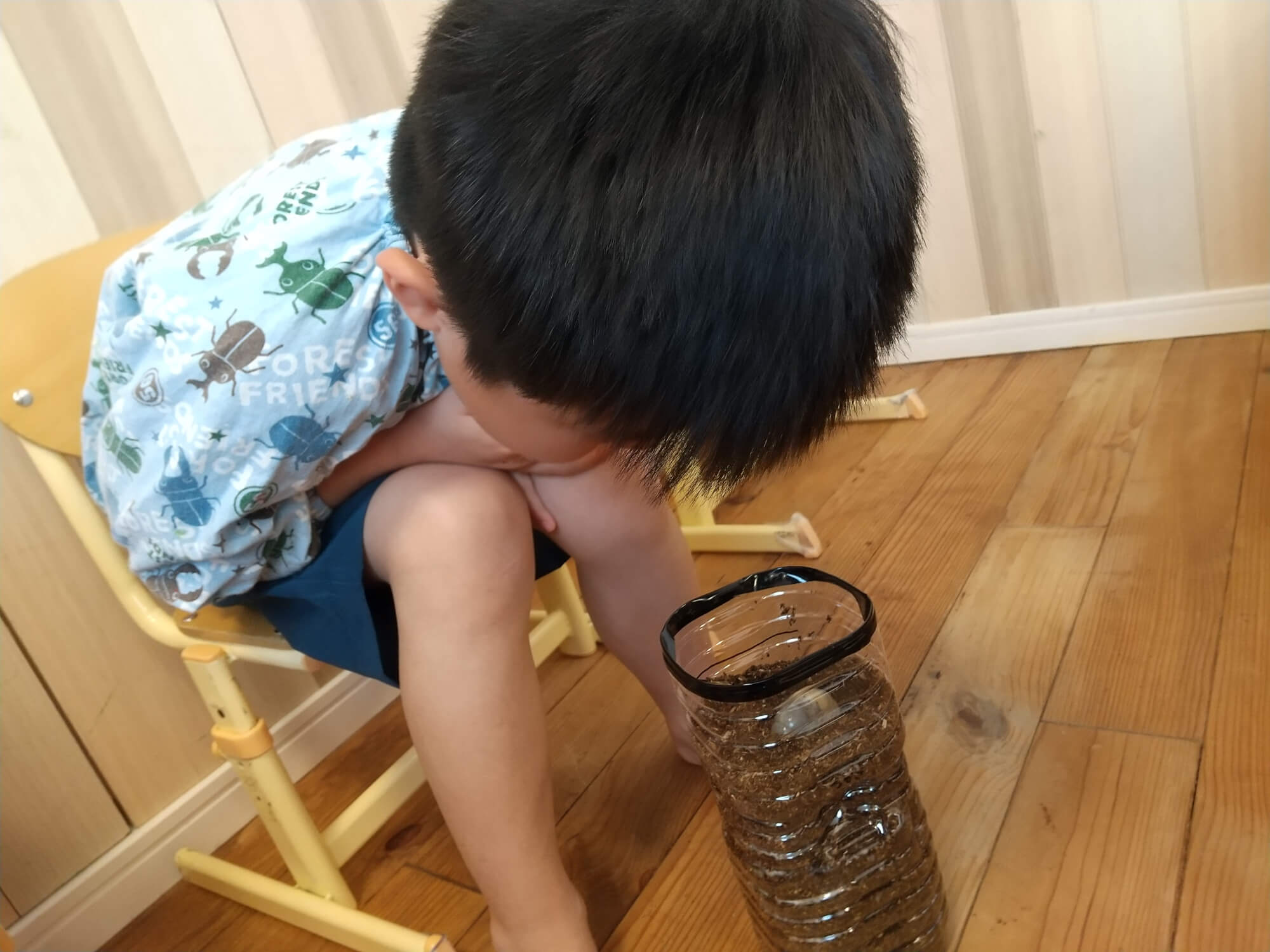 幼虫が土に潜っていく様子を観察する子ども