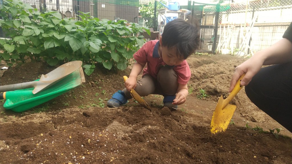 土作りをする子どもたち