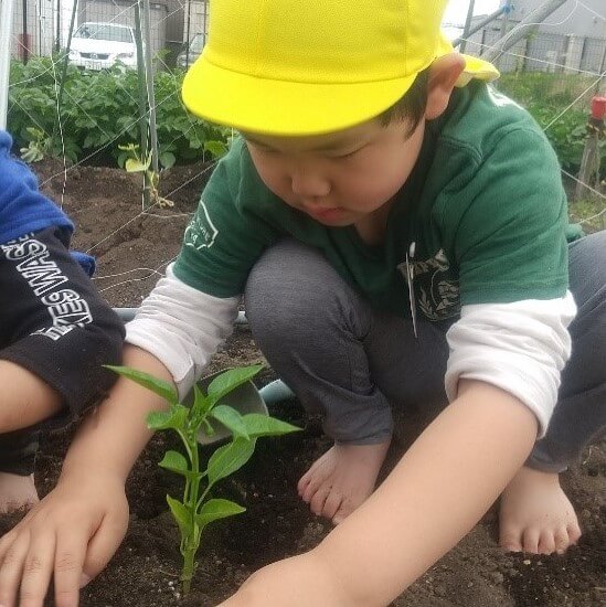土をかぶせる子ども
