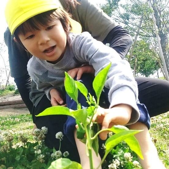 植物を嬉しそうに眺める子