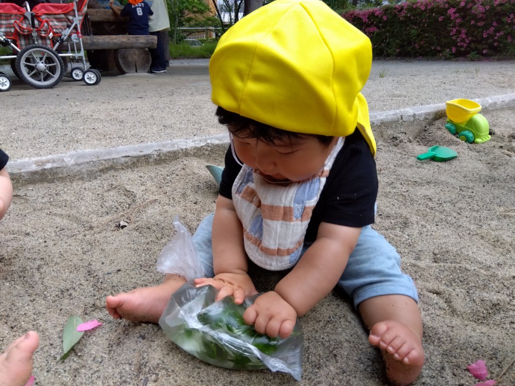 戸外での感触遊び