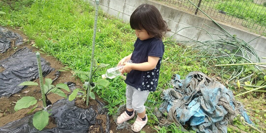 畑仕事の様子