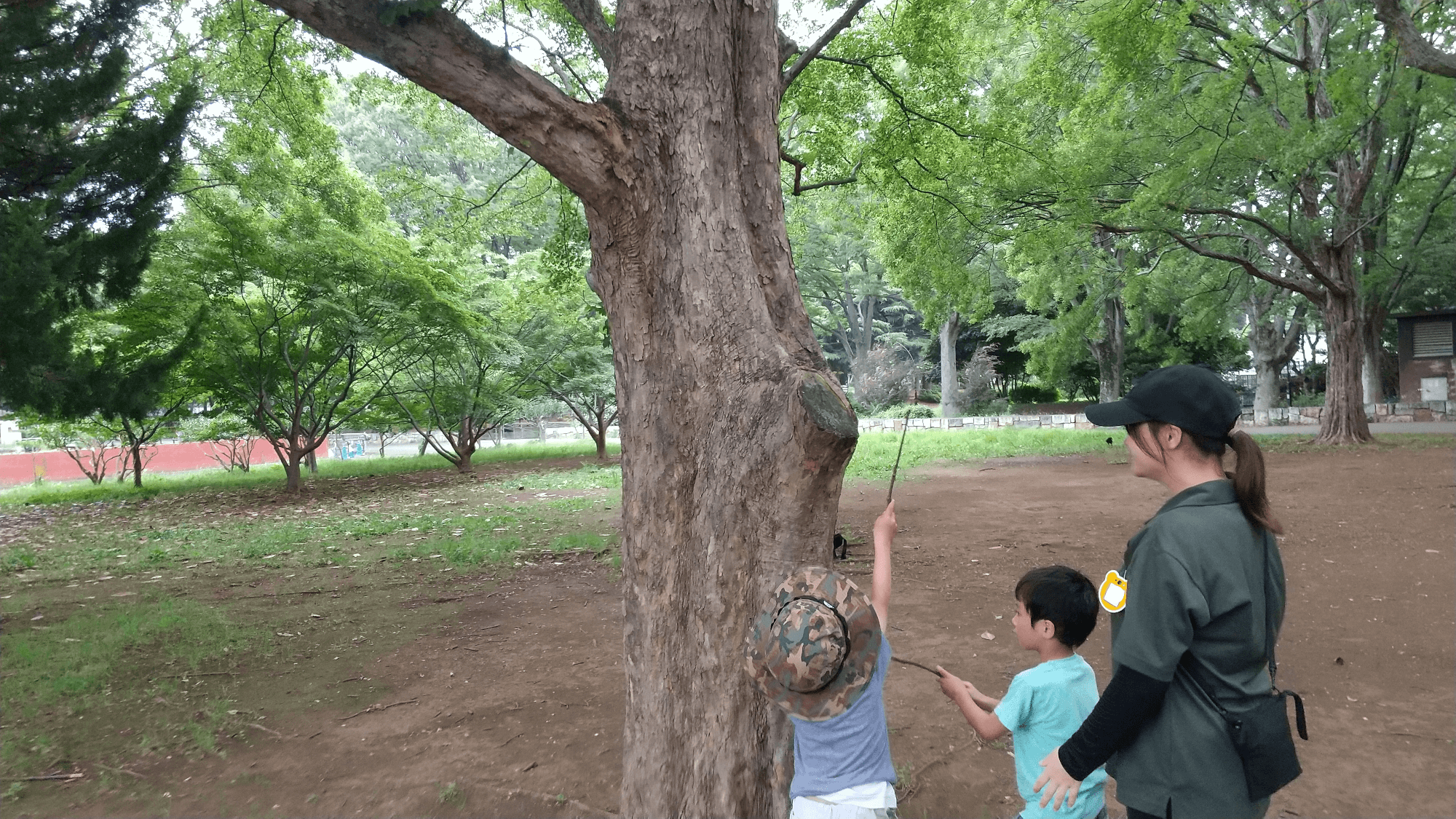 公園を散策する子どもたち