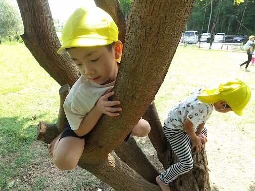 木登りをする子どもたち