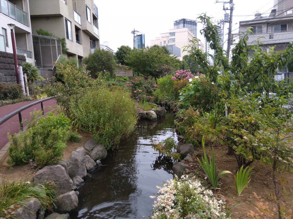 目黒川緑道