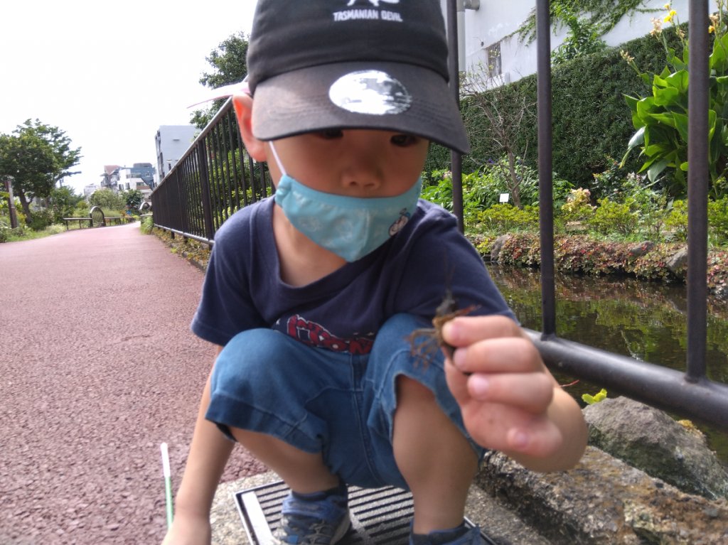 生き物を捕まえた子ども
