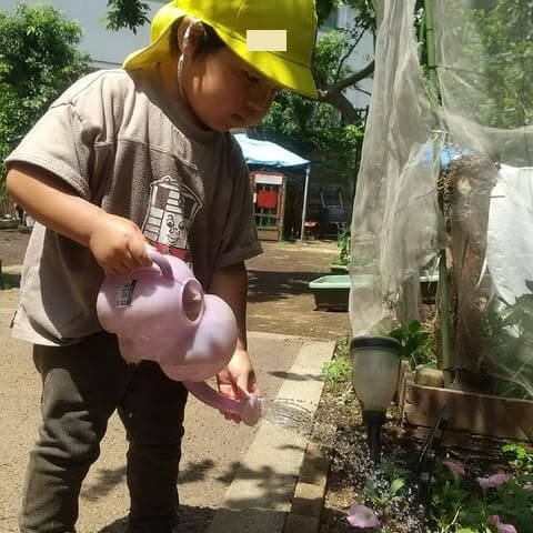 畑の水やりをする子ども