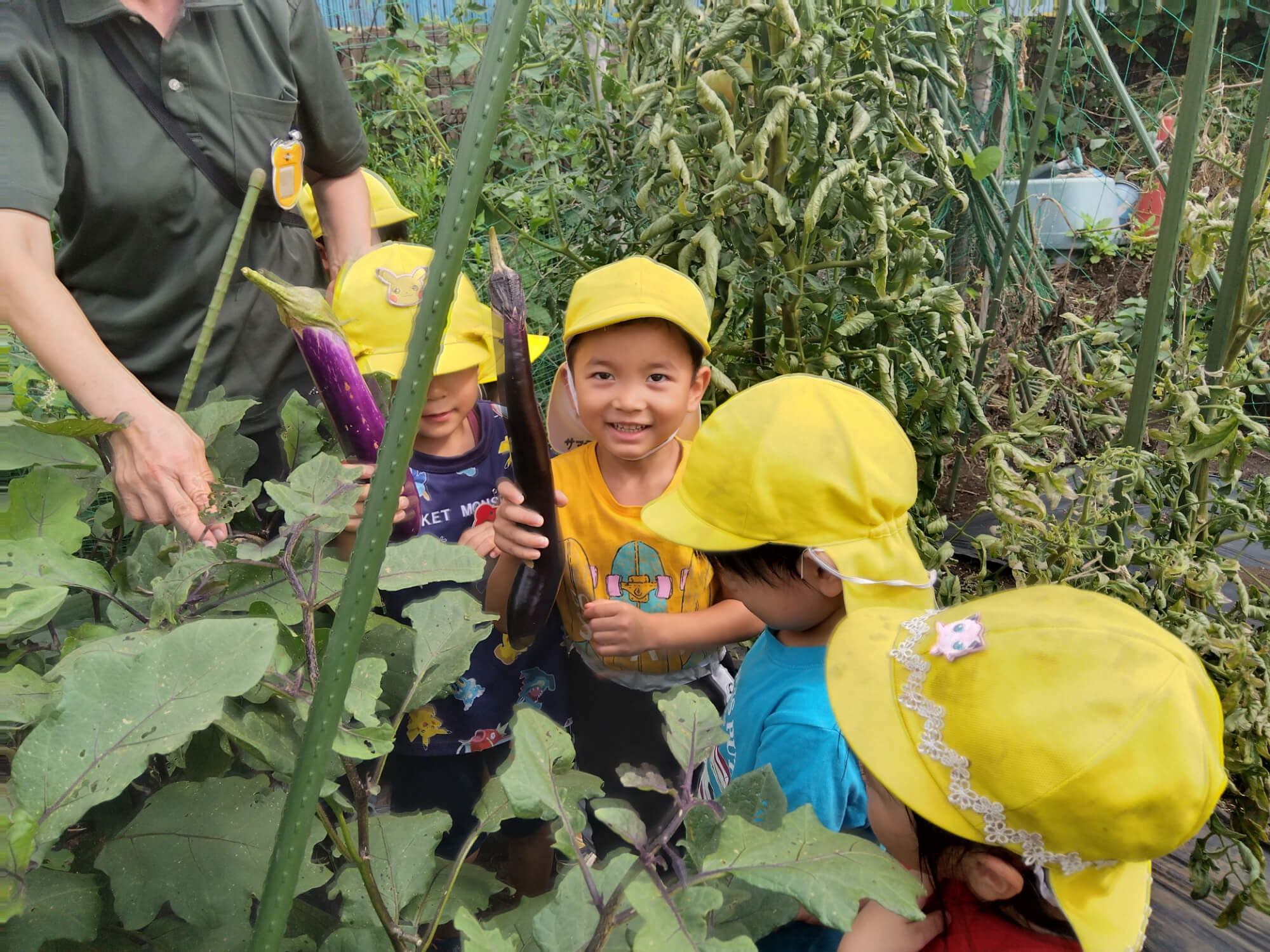野菜を収穫する子ども