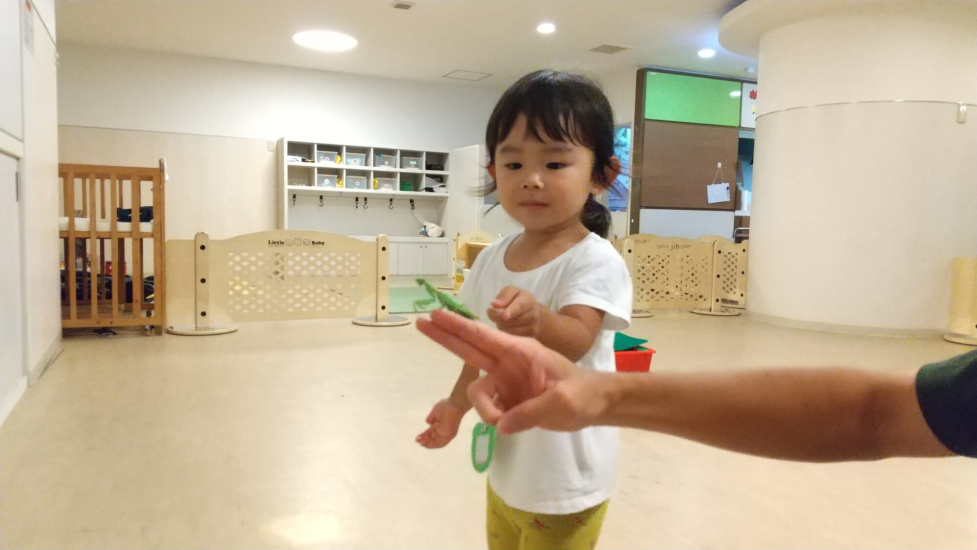 カマキリに触ろうとする子ども