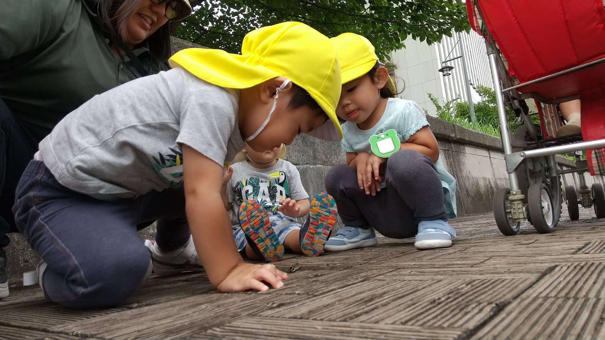 イモ虫を観察する子どもたち