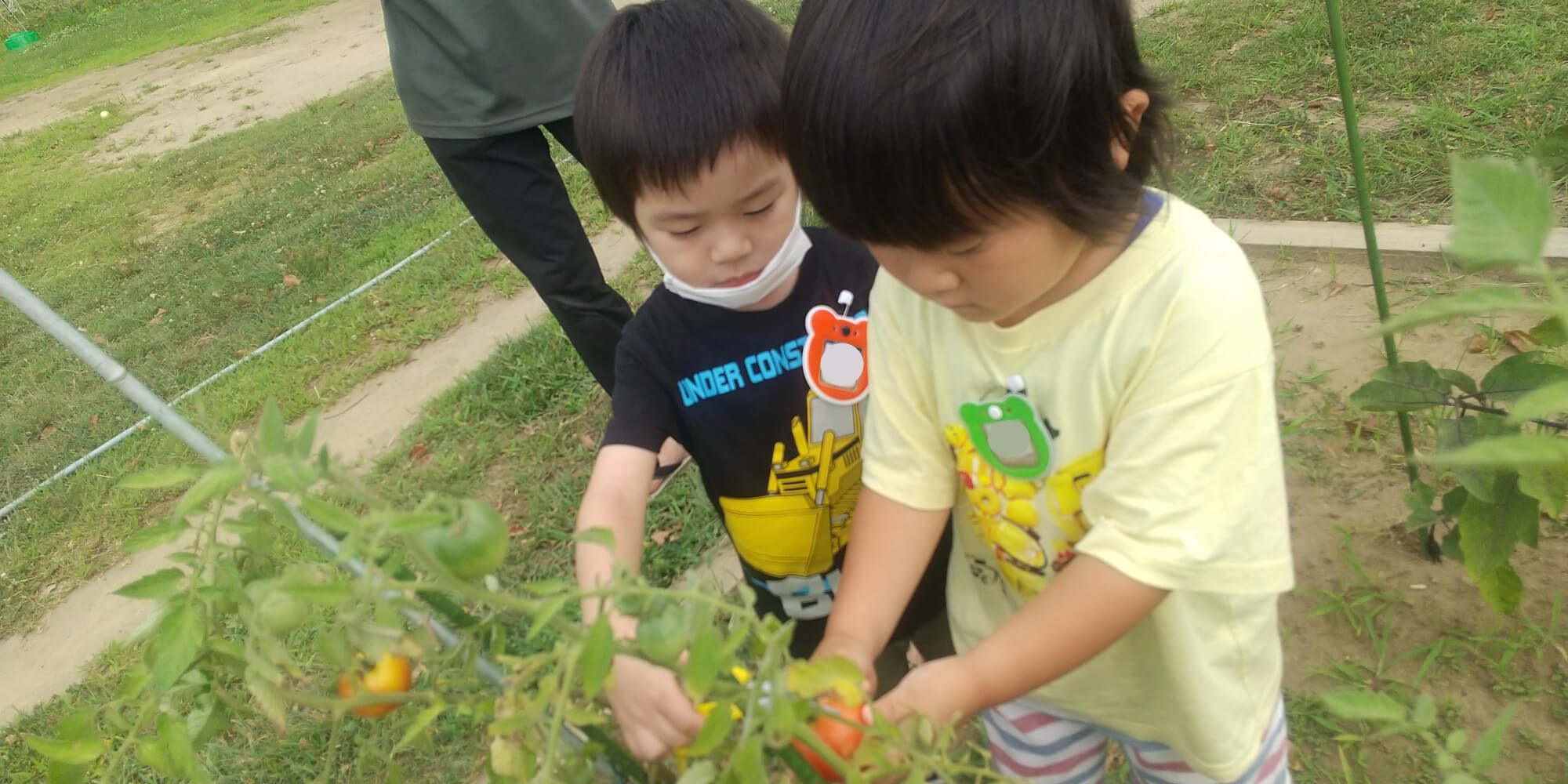 トマトを持つ子ども