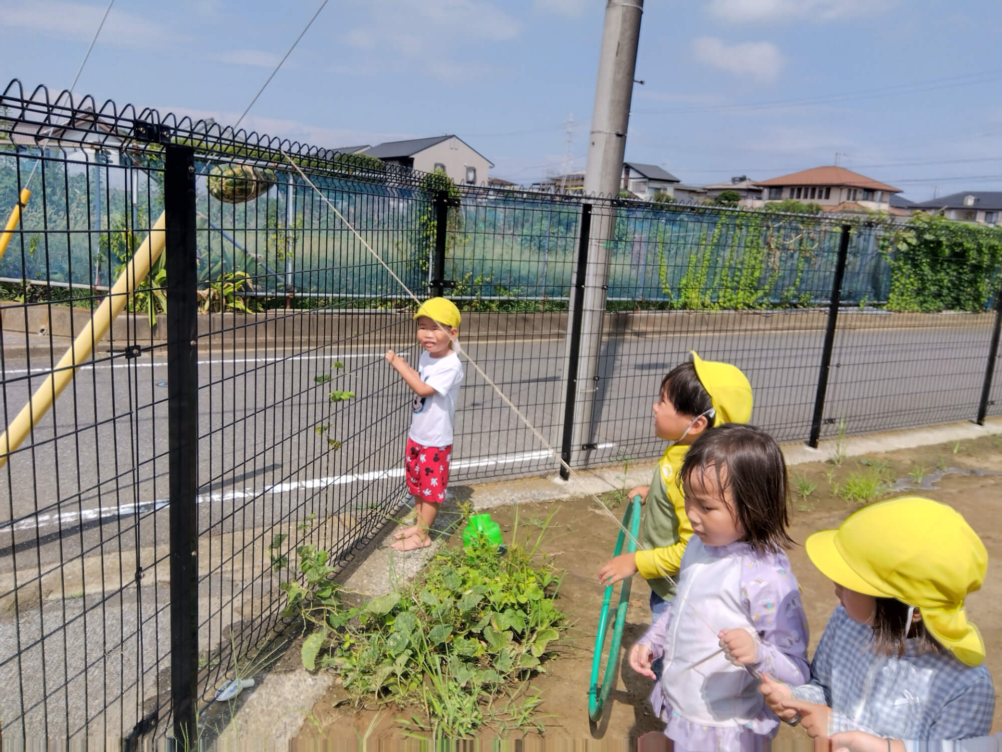 紐を引く子ども