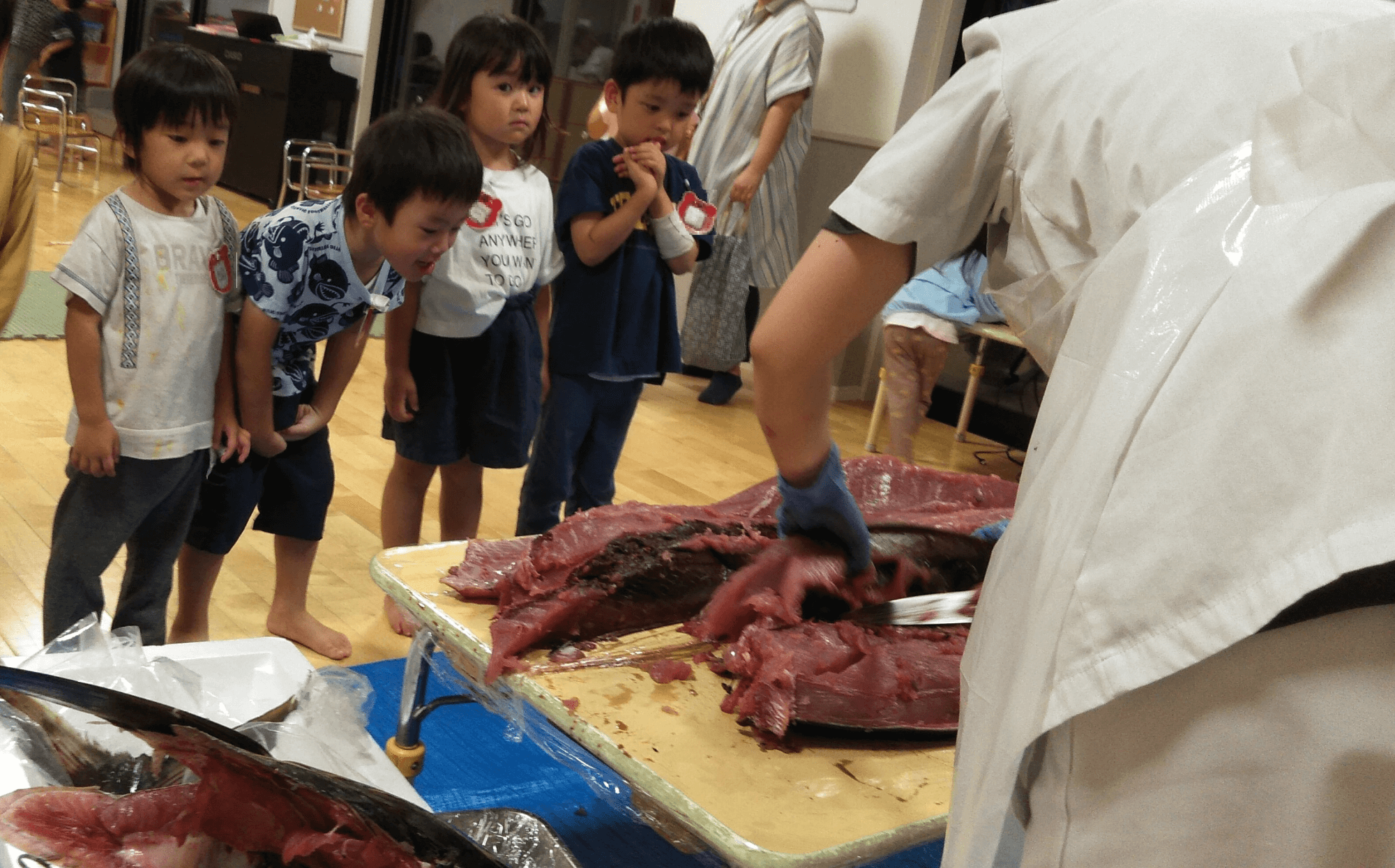 マグロが解体される様子を見る子どもたち