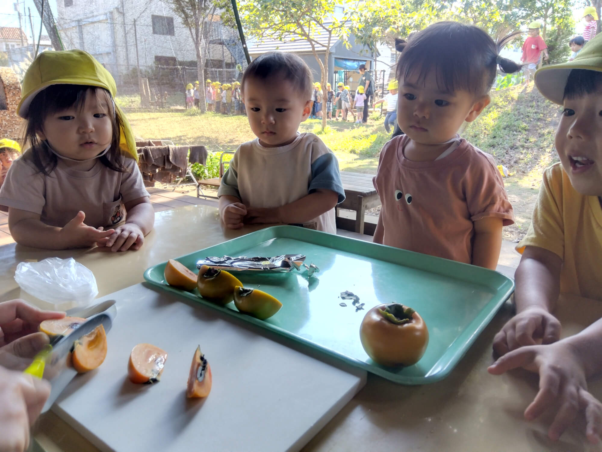 切られる柿を見ている子どもたち