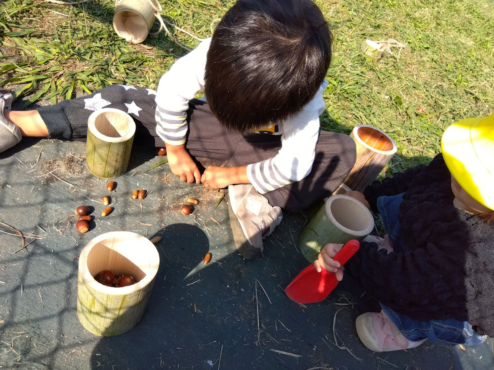 竹の中にどんぐりを入れる子ども