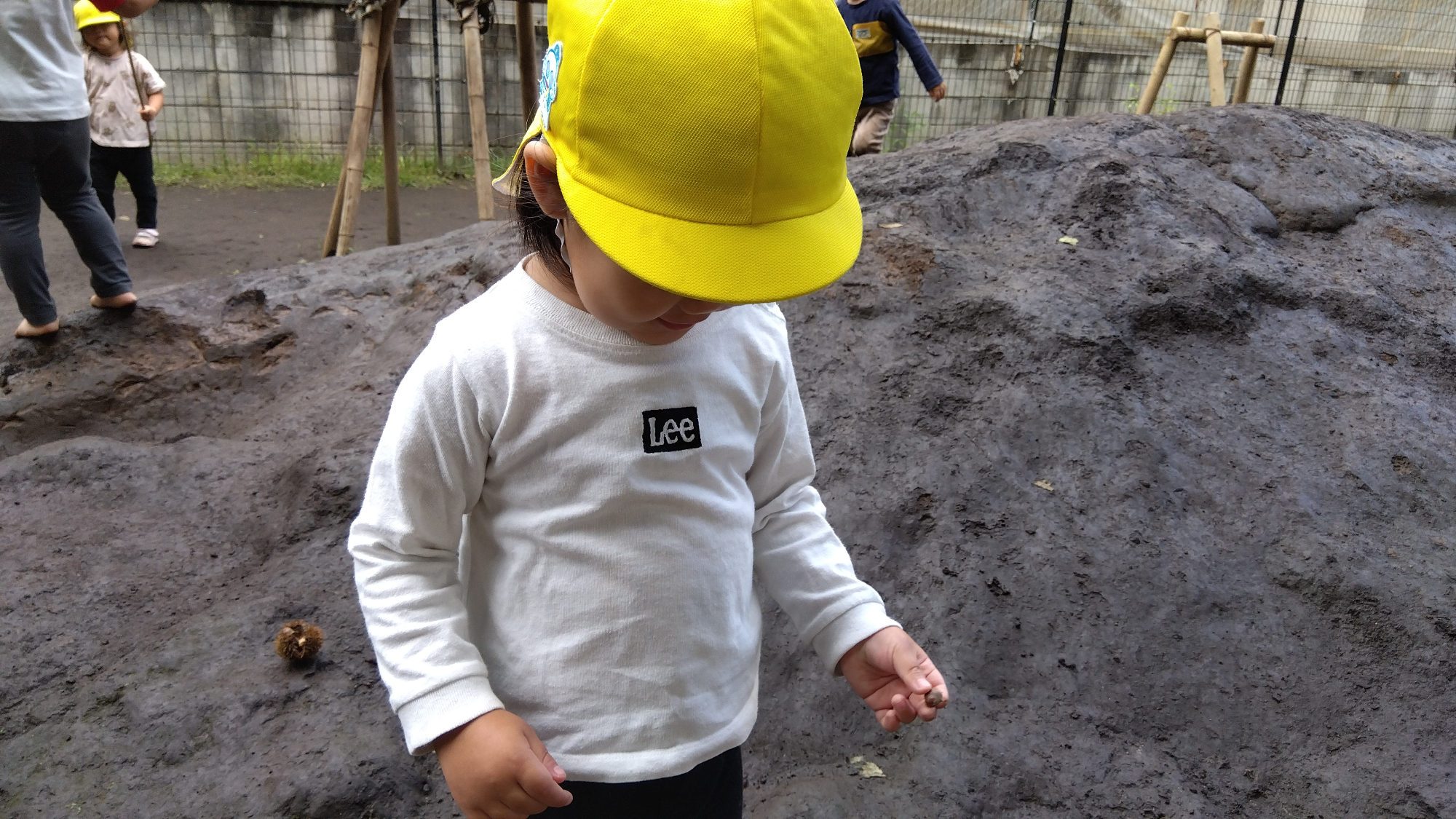 栗を見つめる子ども