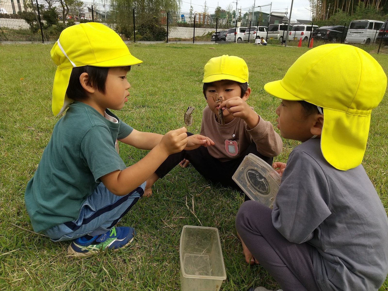 カマキリを掴んで観察する子どもたち