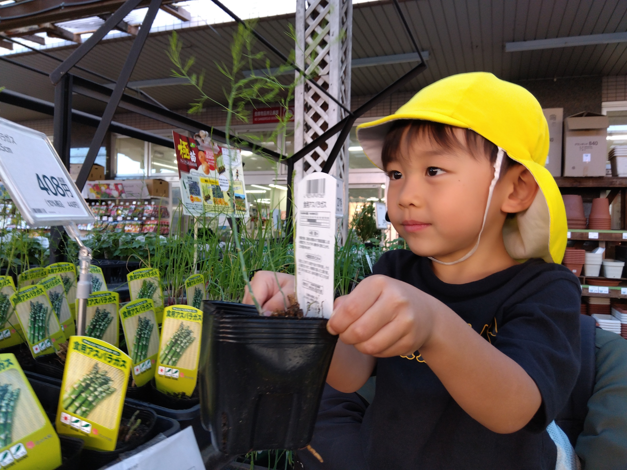 買い物をする子ども