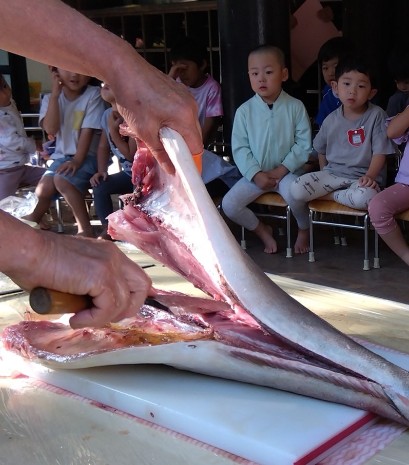 魚が捌かれる様子を観察する子どもたち