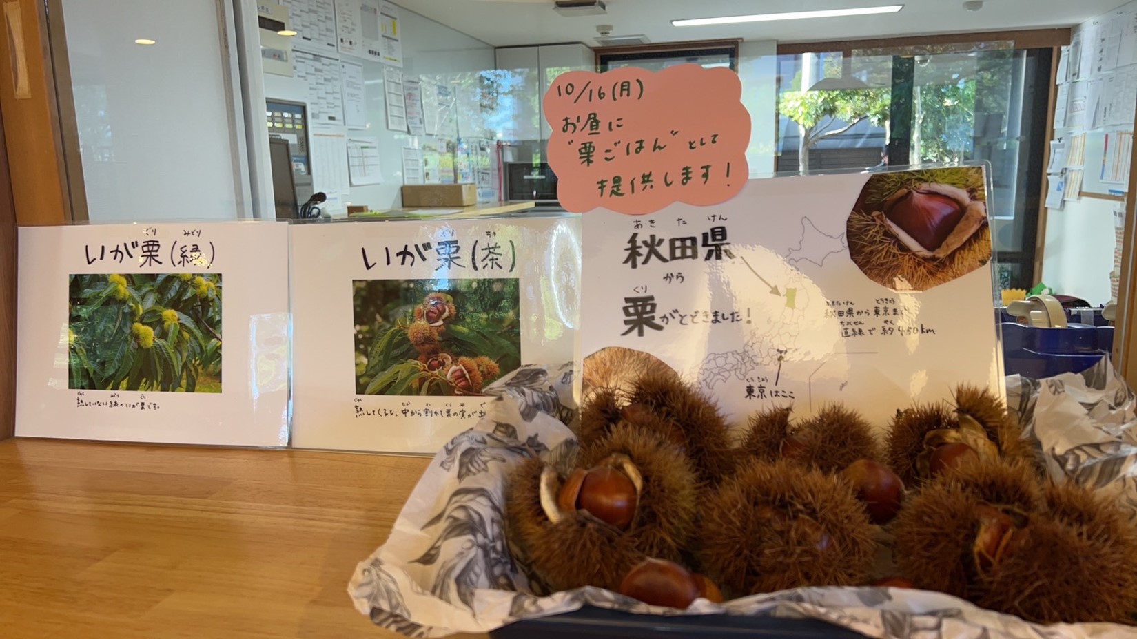園内に置かれた栗