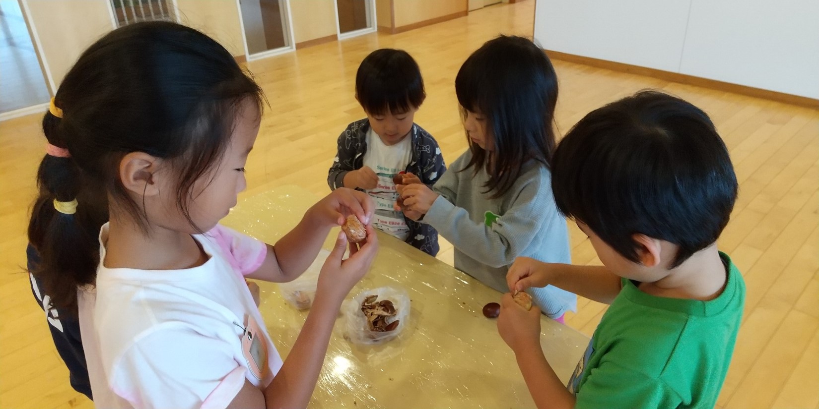 栗の皮むきをする子どもたち