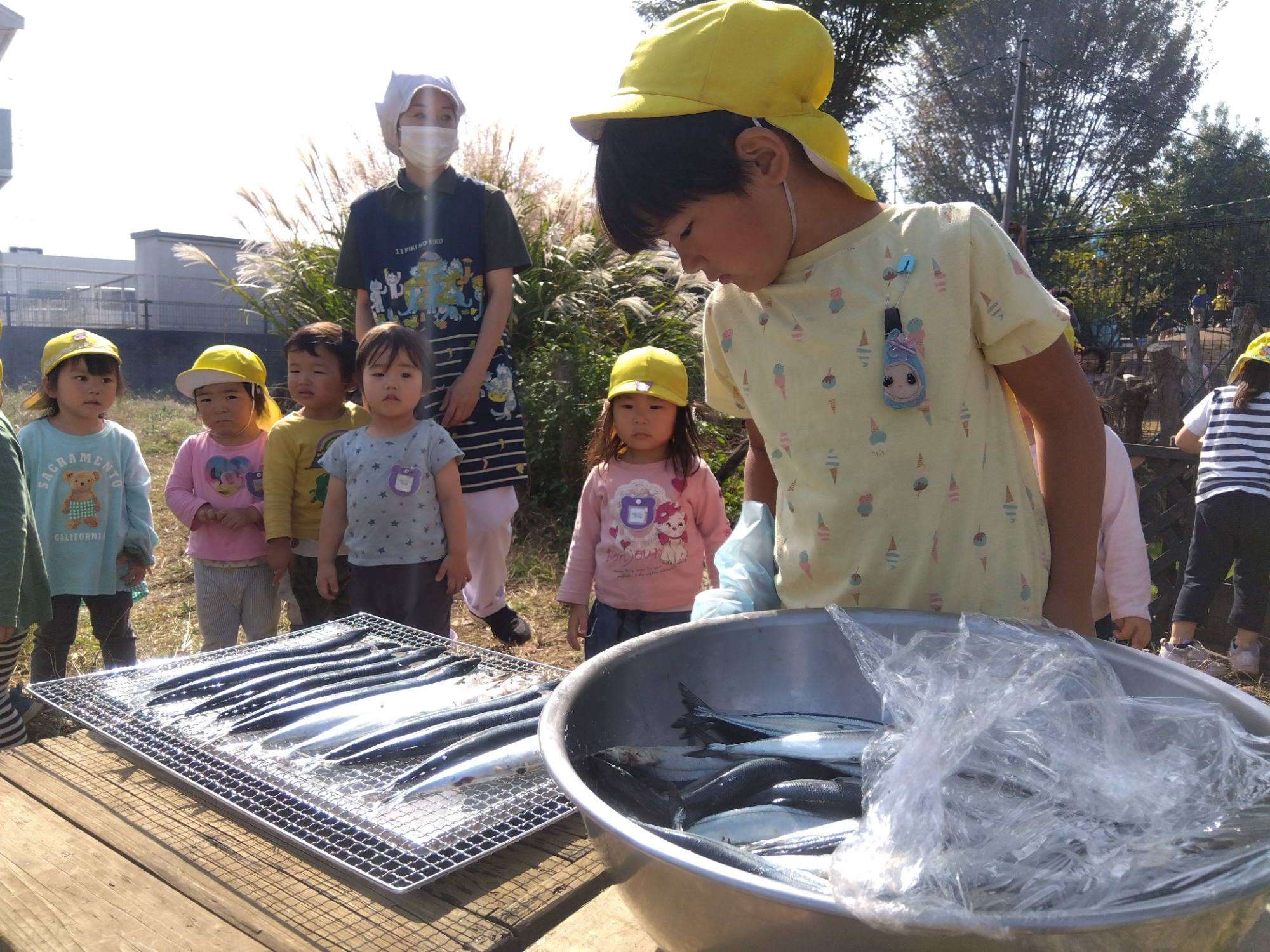 網にサンマをのせる子ども