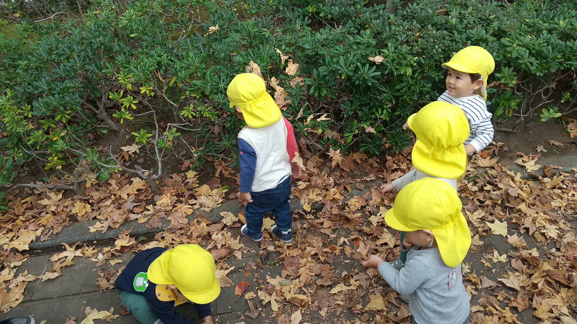 落ち葉を集める子どもたち