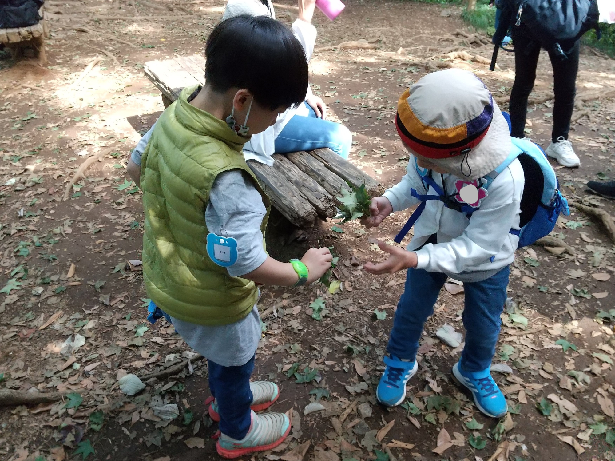 葉っぱを渡す子ども