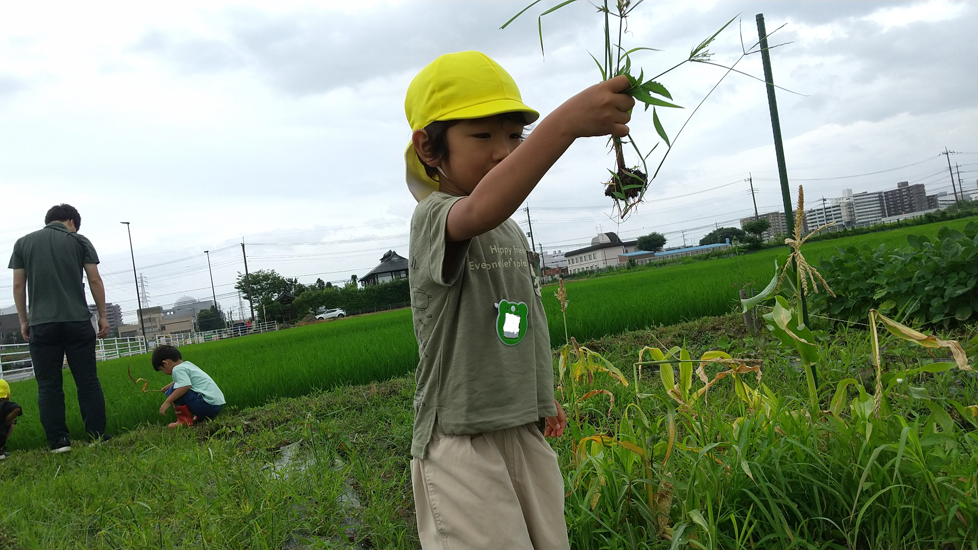 抜いた植物を観察する子ども