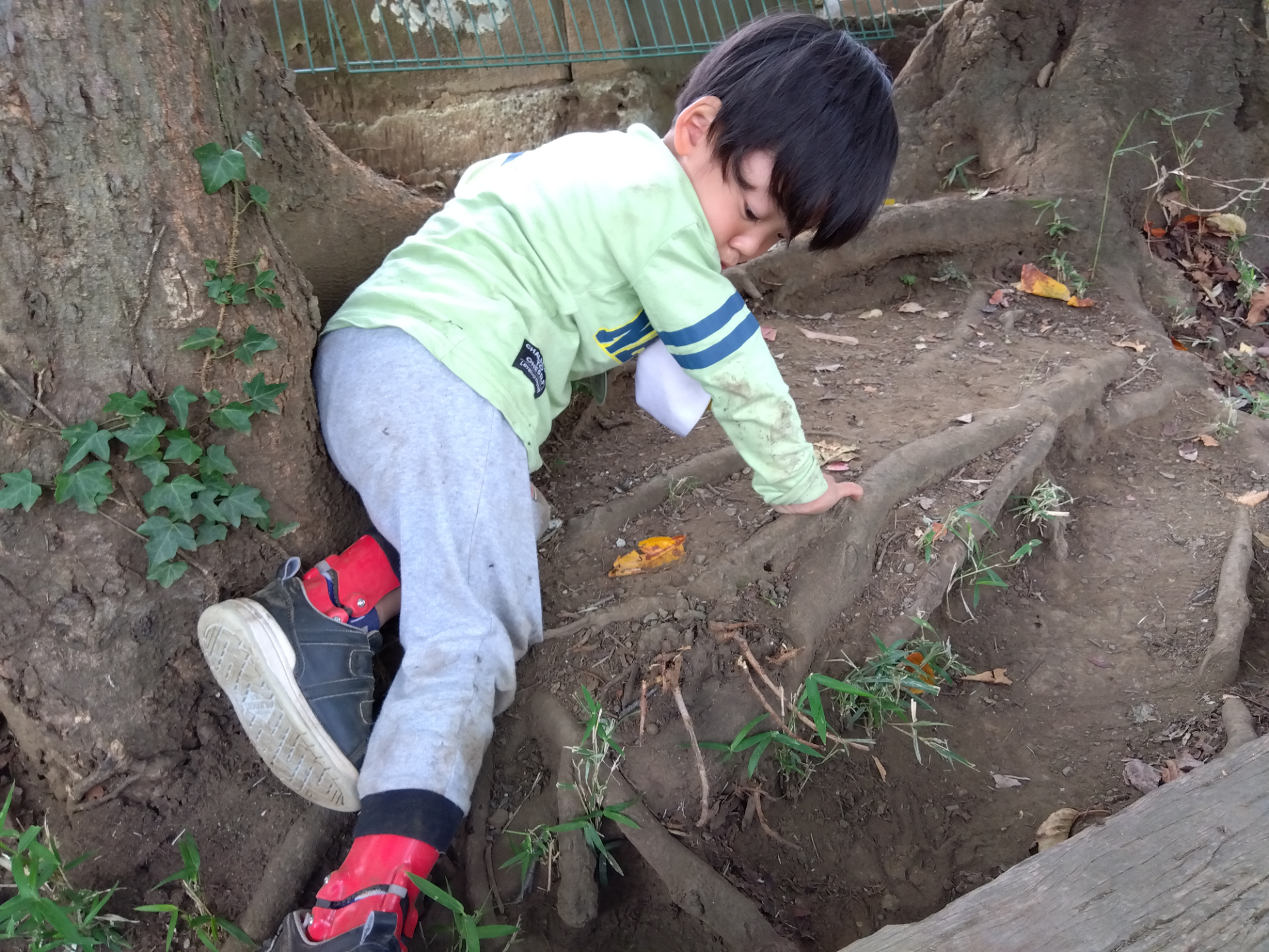 木の根っこを登っていく子ども