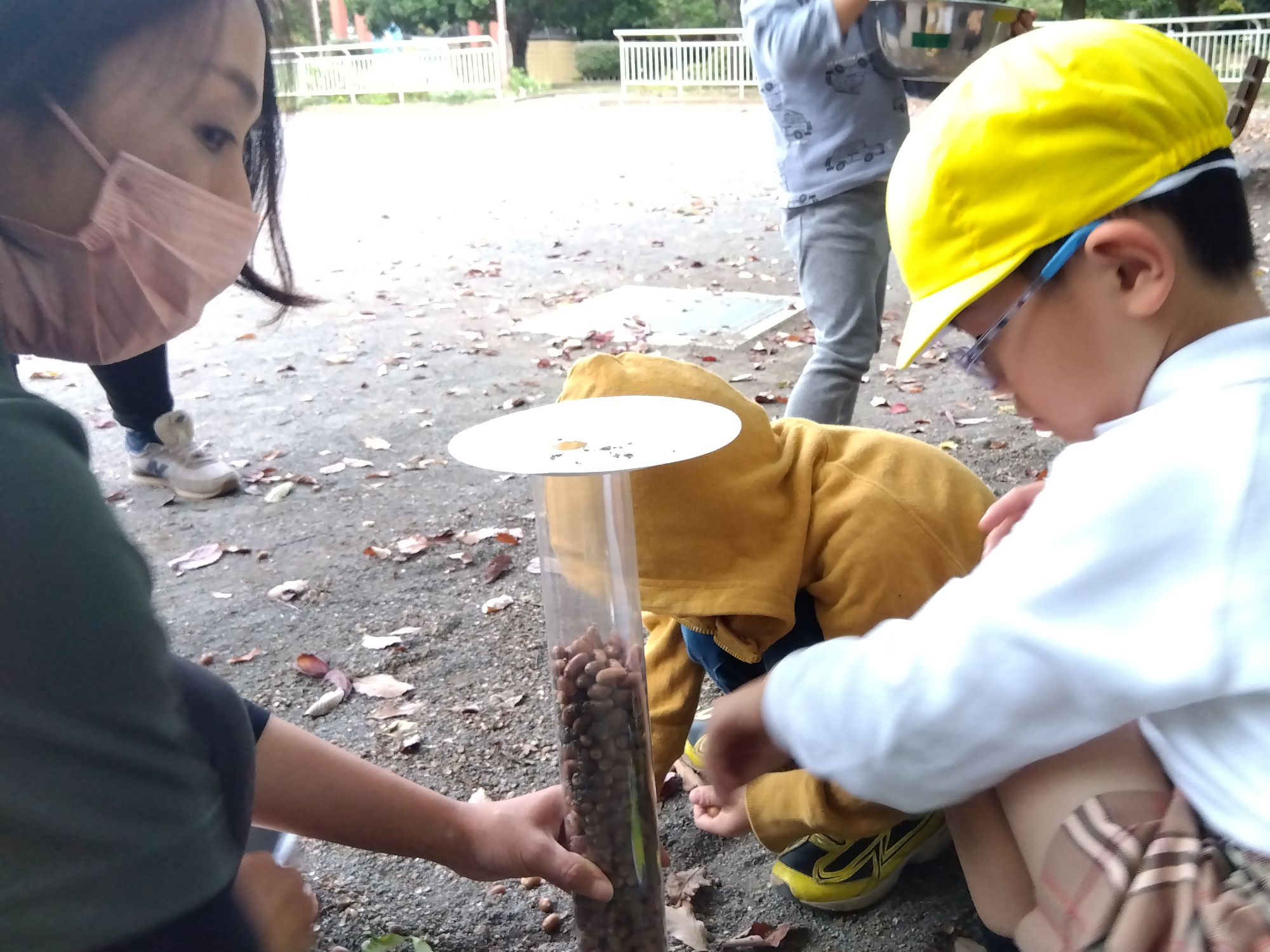 どんぐりを筒に入れる子どもたち