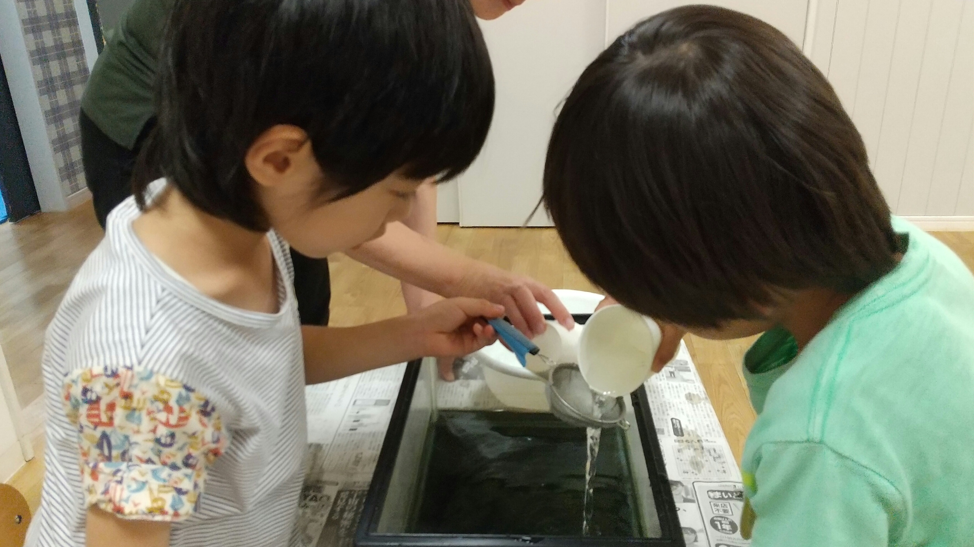 紙コップと網の分担を行う子どもたち