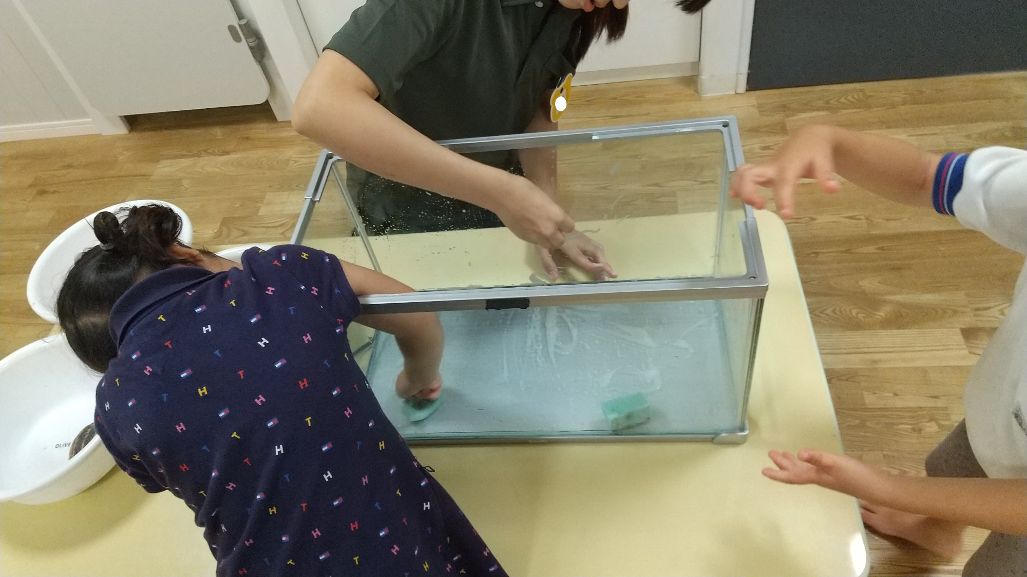 水槽掃除の様子