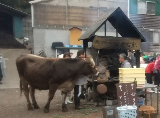 ピザ窯と牛
