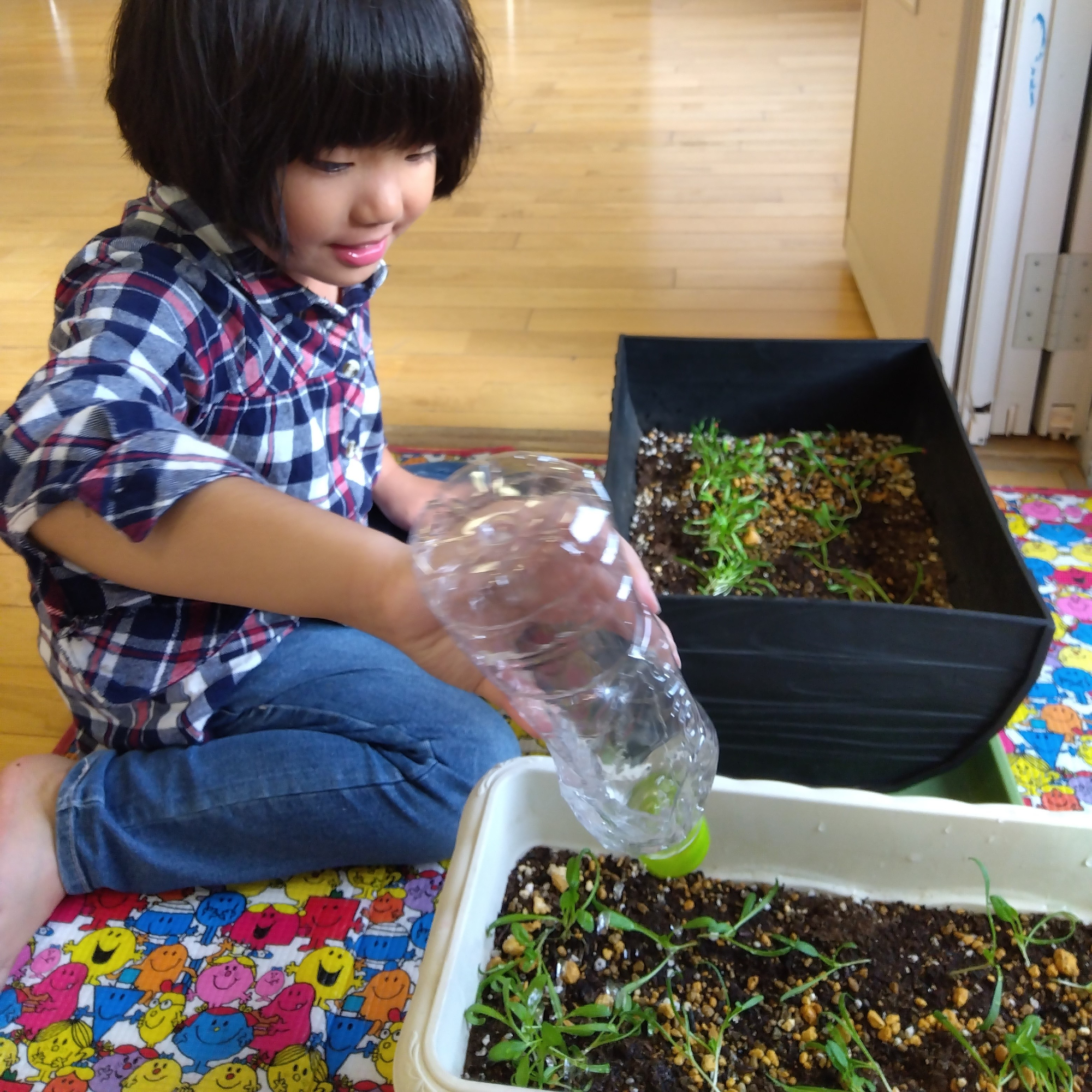プランターに水をやる子ども