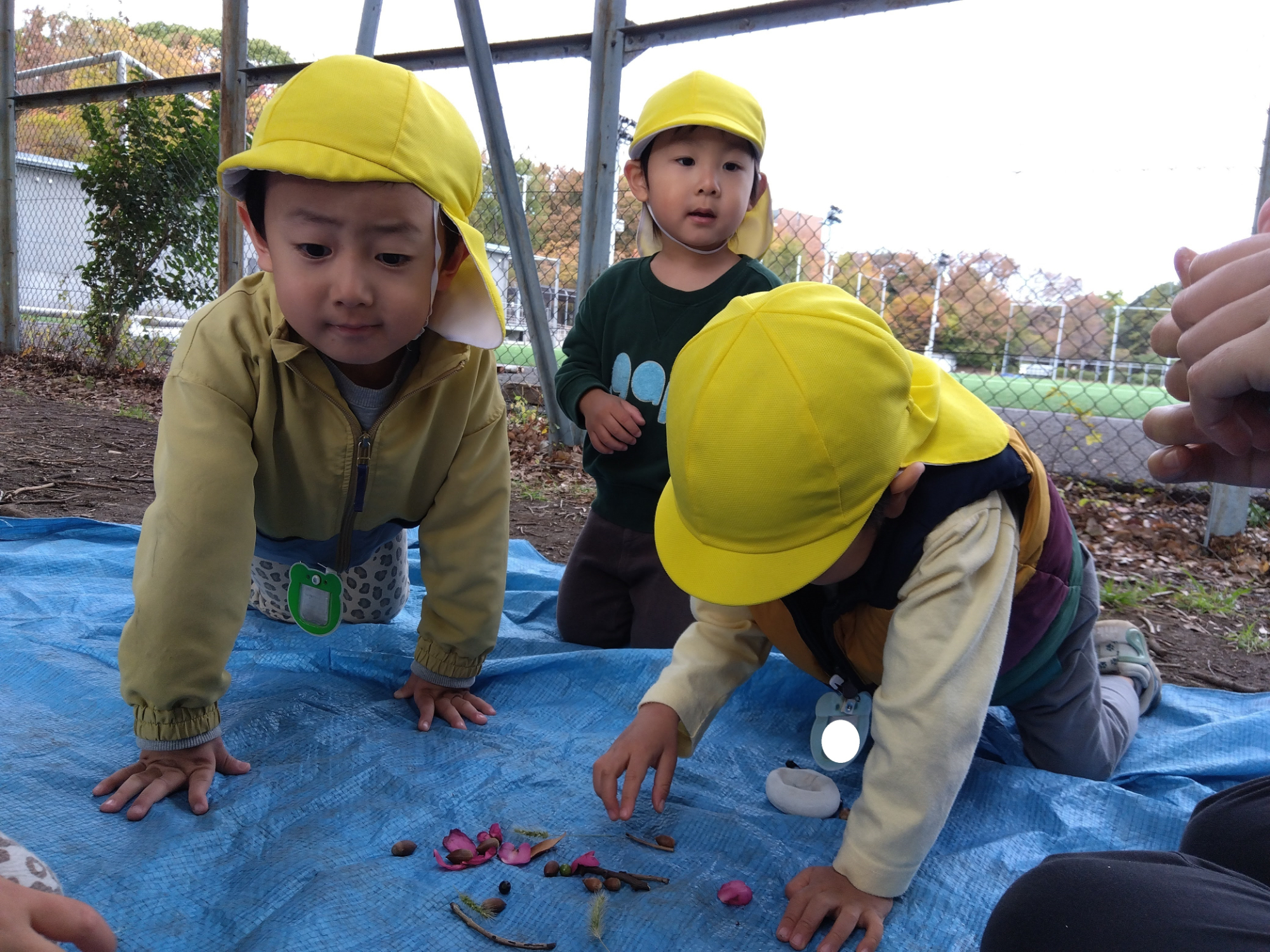 木の実を囲む子どもたち